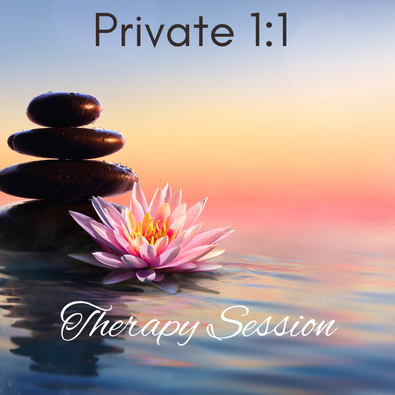 Private 1:1 Therapy Session