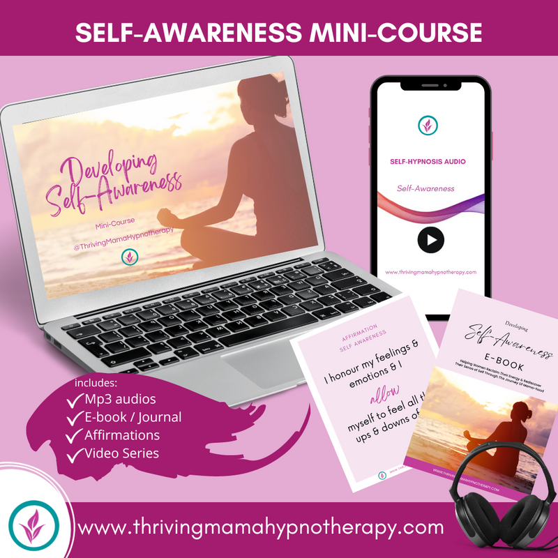 Mini-Course Self-Awareness